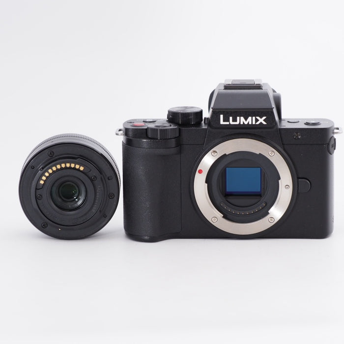 Panasonic パナソニック ミラーレス一眼カメラ ルミックス LUMIX G100V 標準ズームレンズキット トライポッドグリップ付属 ブラック DC-G100V-K #9918