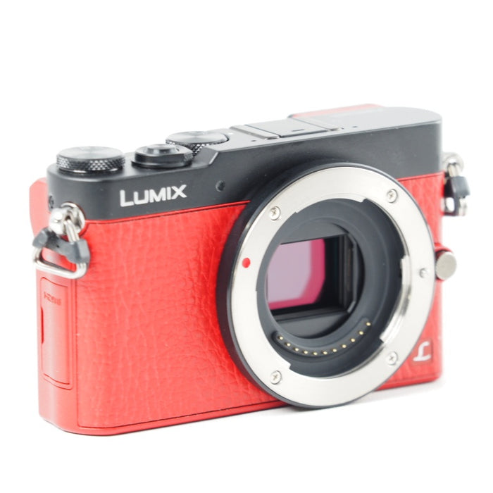 Panasonic LUMIX GM5 ボディ レッド DMC-GM5-R パナソニック ミラーレス一眼カメラ #14358