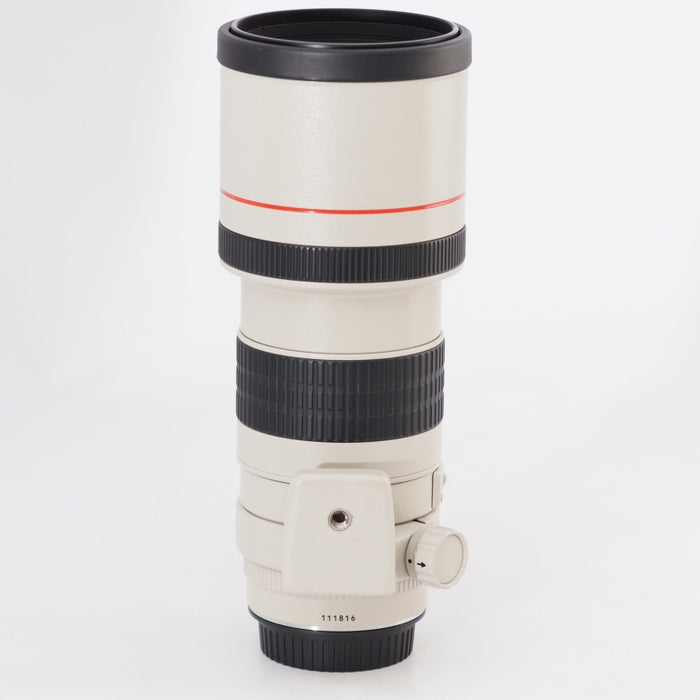 Canon EF 300mm F4 L USM キヤノン 単焦点望遠レンズ EFマウント 交換レンズ #13275