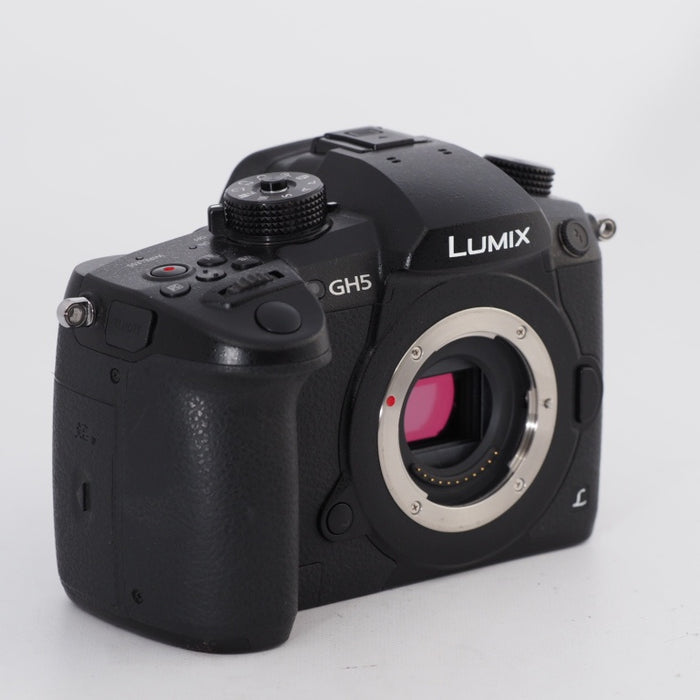 Panasonic パナソニック ミラーレス一眼カメラ ルミックス LUMIX GH5 ボディ ブラック DC-GH5-K #11281