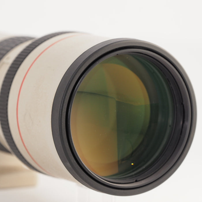 Canon EF 300 mm F4 L USM キヤノン 単焦点望遠レンズ EFマウント 交換レンズ #13518