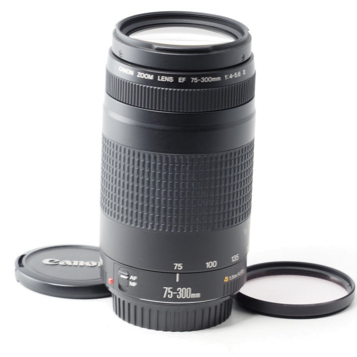 Canon EF 75-300mm F4-5.6 II USM 望遠ズームレンズ EFマウント #15211
