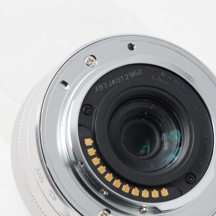 Panasonic LUMIX G Vario 12-32mm F3.5-5.6 ASPH. MEGA OIS マイクロフォーサーズシステム #15773