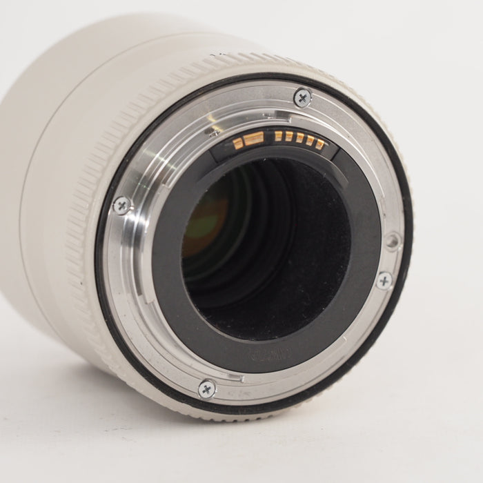 Canon キヤノン エクステンダー EF2X 2型 EF2X2 043 #13500