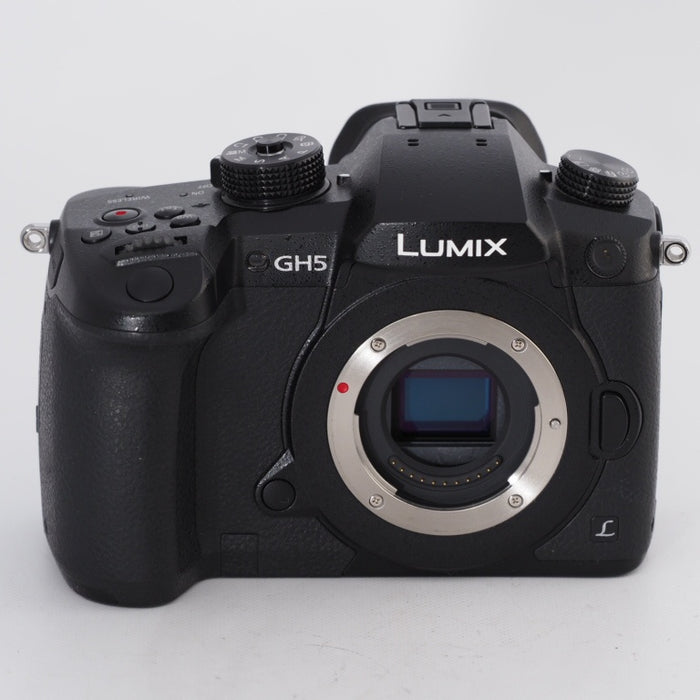 Panasonic パナソニック ミラーレス一眼カメラ ルミックス LUMIX GH5 ボディ ブラック DC-GH5-K #11281