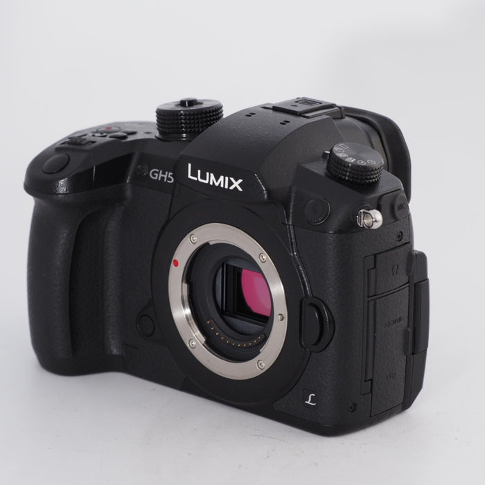 Panasonic パナソニック ミラーレス一眼カメラ ルミックス LUMIX GH5 ボディ ブラック DC-GH5-K #11281