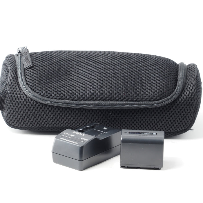 SONY ソニー  アクセサリーキット ACC-TCV7A BC-TRV NP-FV70 ビデオカメラ専用ポーチ付属 #15198