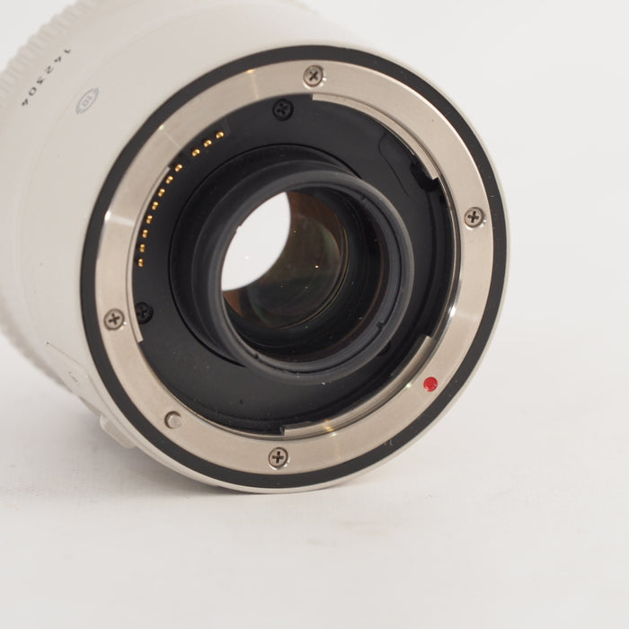 Canon キヤノン エクステンダー EF2X 2型 EF2X2 043 #13500