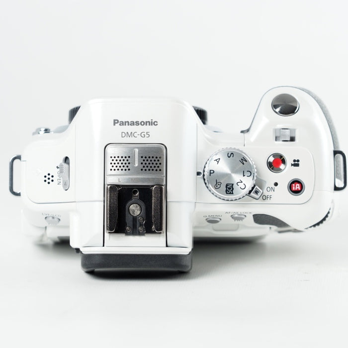 Panasonic パナソニック ミラーレス一眼カメラ LUMIX G5 ボディ 1605万画素 シェルホワイト DMC-G5-W #14030