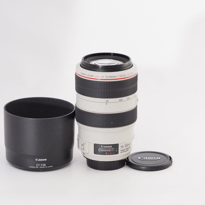 Canon キヤノン 望遠ズームレンズ EF70-300mm F4-5.6L IS USM フルサイズ対応 #13377
