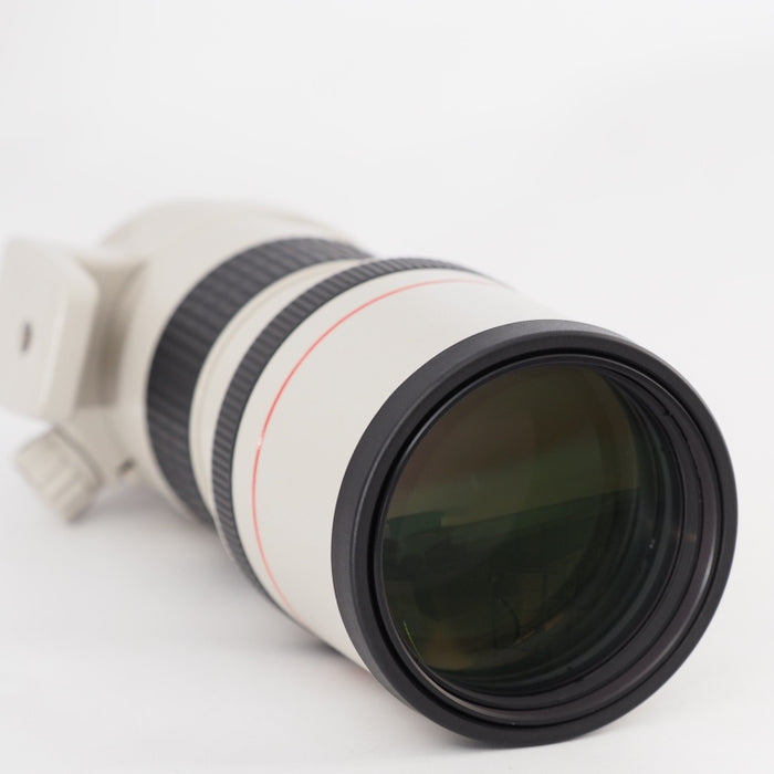 Canon EF 300mm F4 L USM キヤノン 単焦点望遠レンズ EFマウント 交換レンズ #13275