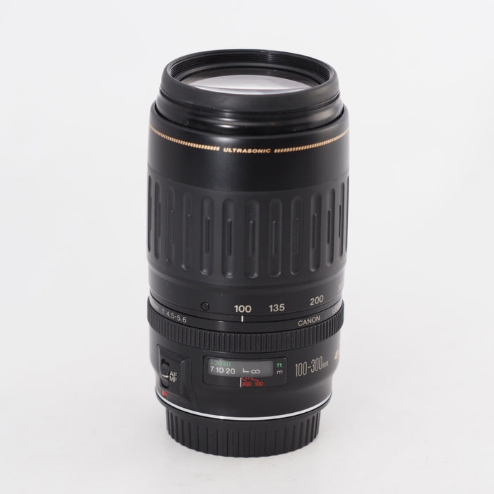 Canon LENS EF 100-300mm F4.5-5.6 USM キヤノンEFマウント #13153