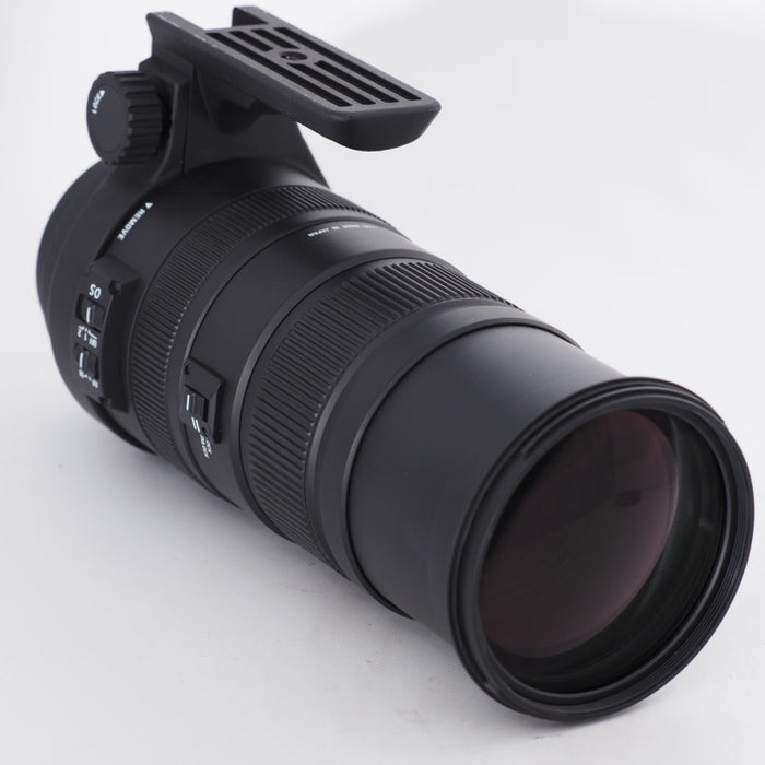 SIGMA シグマ 望遠ズームレンズ APO 150-500mm F5-6.3 DG OS HSM キヤノン EFマウント用 フルサイズ対応 737542 #11404