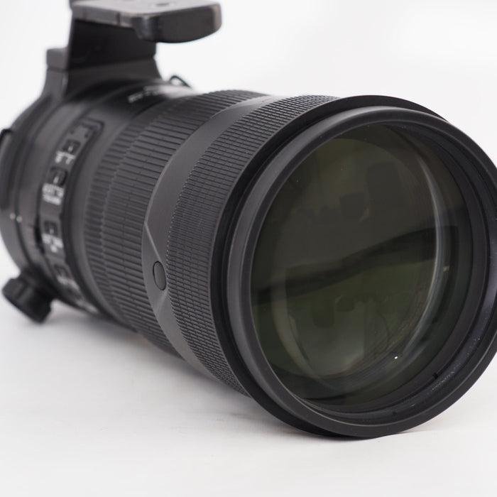 Nikon 単焦点レンズ AF-S NIKKOR 300mm f/2.8G ED VR II フルサイズ対応 #13281