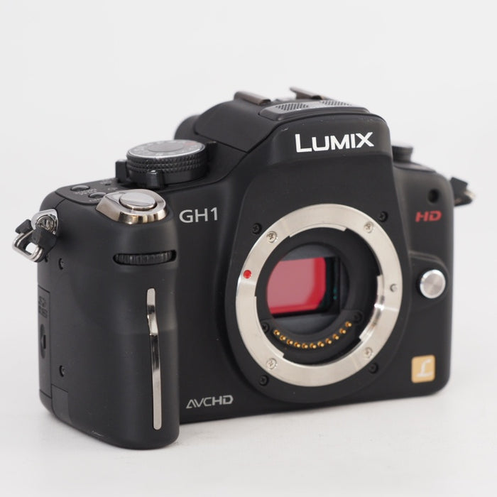 Panasonic パナソニック デジタル一眼カメラ LUMIX GH1 ボディ コンフォートブラック DMC-GH1-K #13297