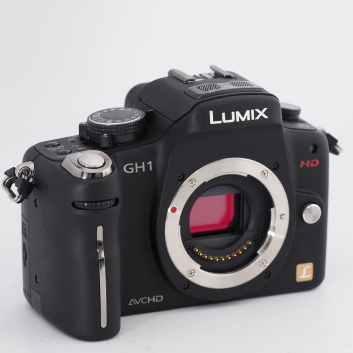 Panasonic パナソニック デジタル一眼カメラ LUMIX GH1 ボディ コンフォートブラック DMC-GH1-K #10900