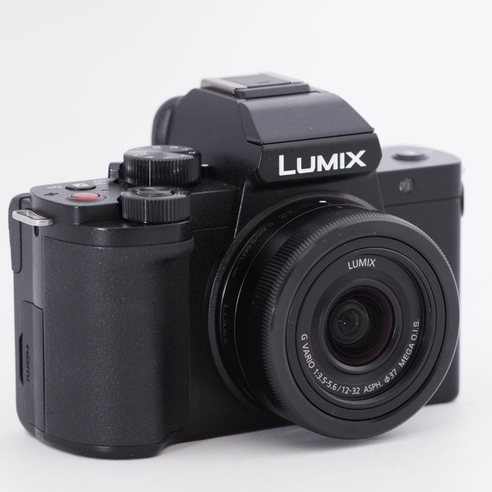 Panasonic パナソニック ミラーレス一眼カメラ ルミックス LUMIX G100V 標準ズームレンズキット トライポッドグリップ付属 ブラック DC-G100V-K #9918