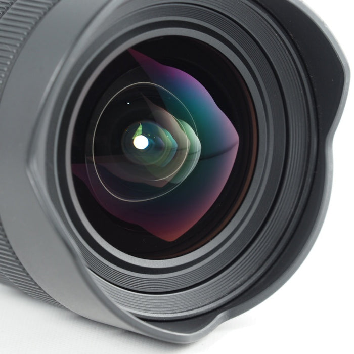 SONY FE 12-24mm F4 G ソニー Eマウント SEL1224G 広角ズームレンズ フルサイズ用 #13881