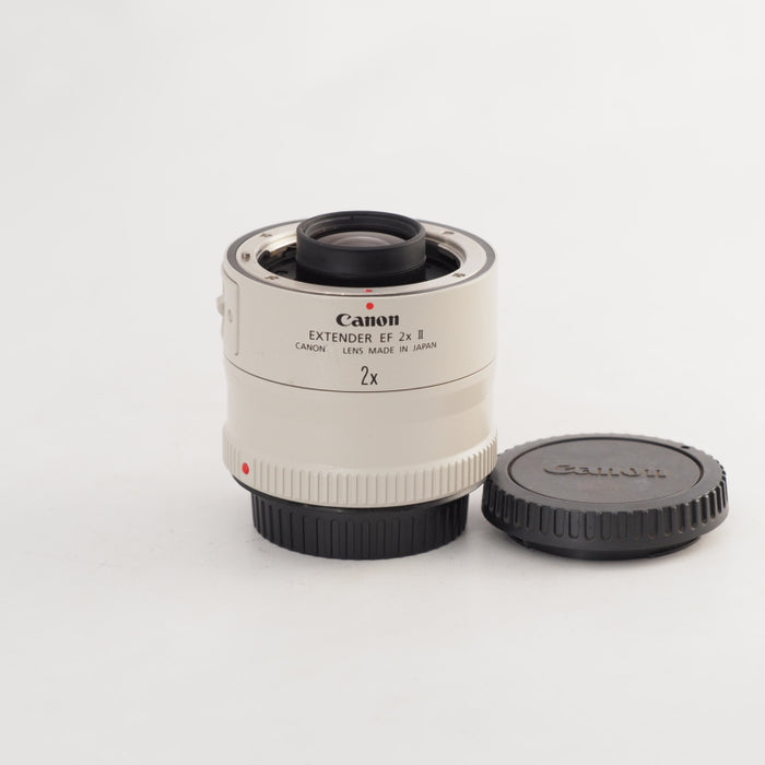 Canon キヤノン エクステンダー EF2X 2型 EF2X2 043 #13500