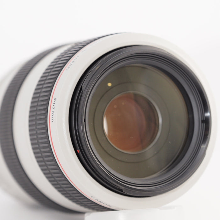 Canon キヤノン 望遠ズームレンズ EF70-300mm F4-5.6L IS USM フルサイズ対応 #13377