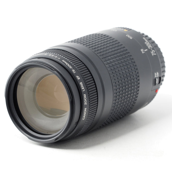 Canon EF 75-300mm F4-5.6 II USM 望遠ズームレンズ EFマウント #15211