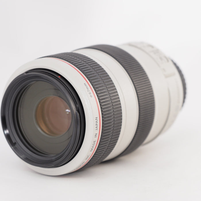 Canon キヤノン 望遠ズームレンズ EF70-300mm F4-5.6L IS USM フルサイズ対応 #13377
