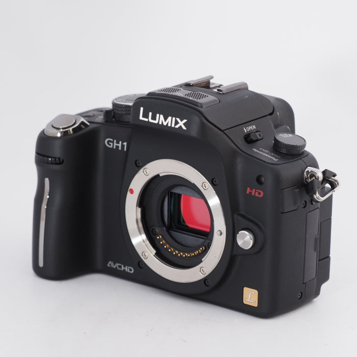 Panasonic パナソニック デジタル一眼カメラ LUMIX GH1 ボディ コンフォートブラック DMC-GH1-K #10900