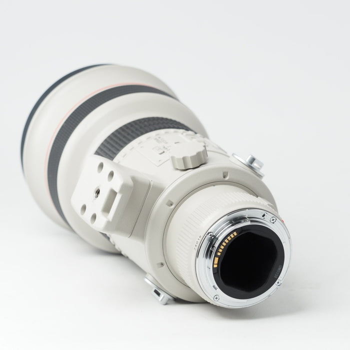 Canon キヤノン 単焦点望遠レンズ EF300mm F2.8L USM (III) 3型 フルサイズ対応 ケース付き #14839