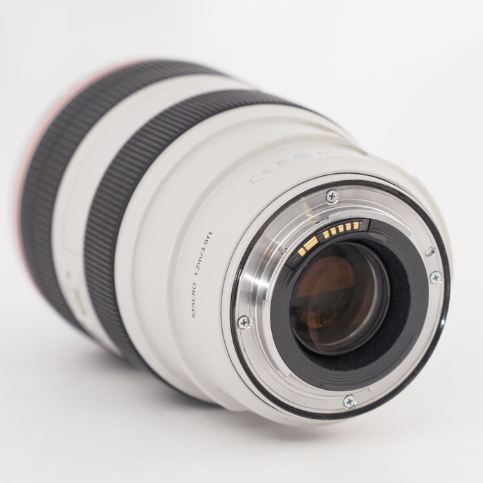 Canon キヤノン 望遠ズームレンズ EF70-300mm F4-5.6L IS USM フルサイズ対応 #13377