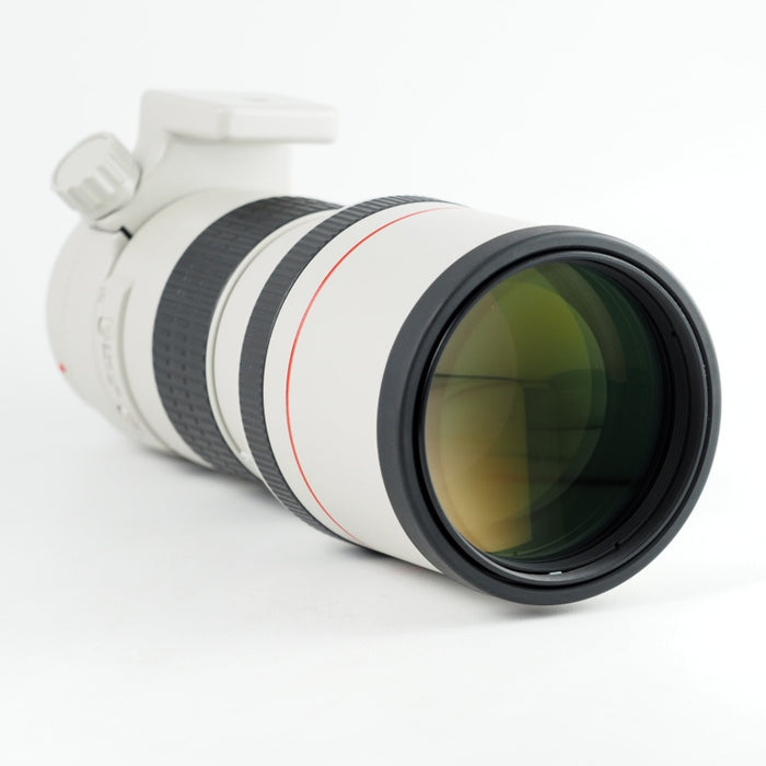 Canon EF 300mm F4L USM Canon 望遠単焦点レンズ EFマウント フルサイズ対応 #14055