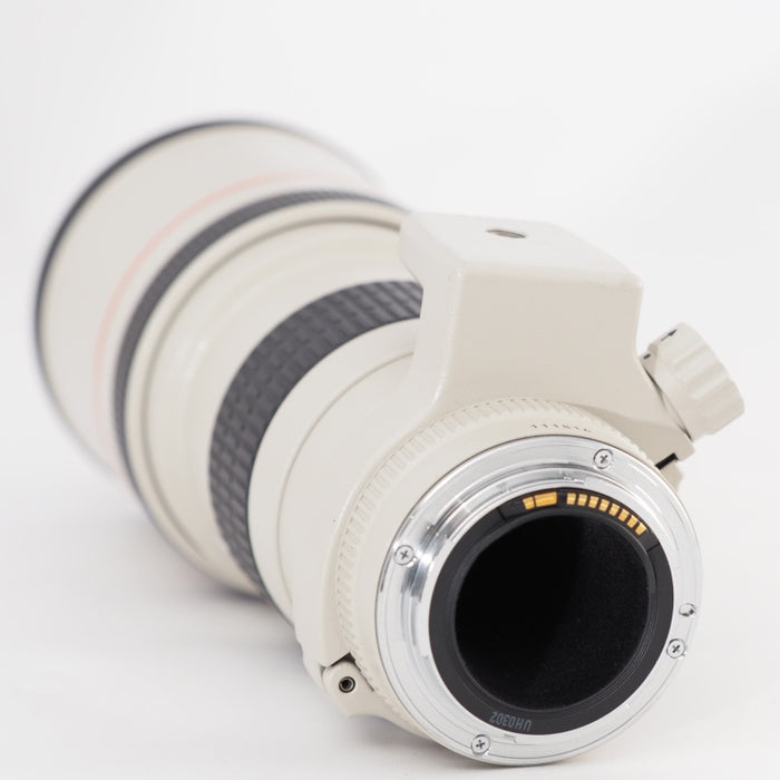 Canon EF 300mm F4 L USM キヤノン 単焦点望遠レンズ EFマウント 交換レンズ #13275