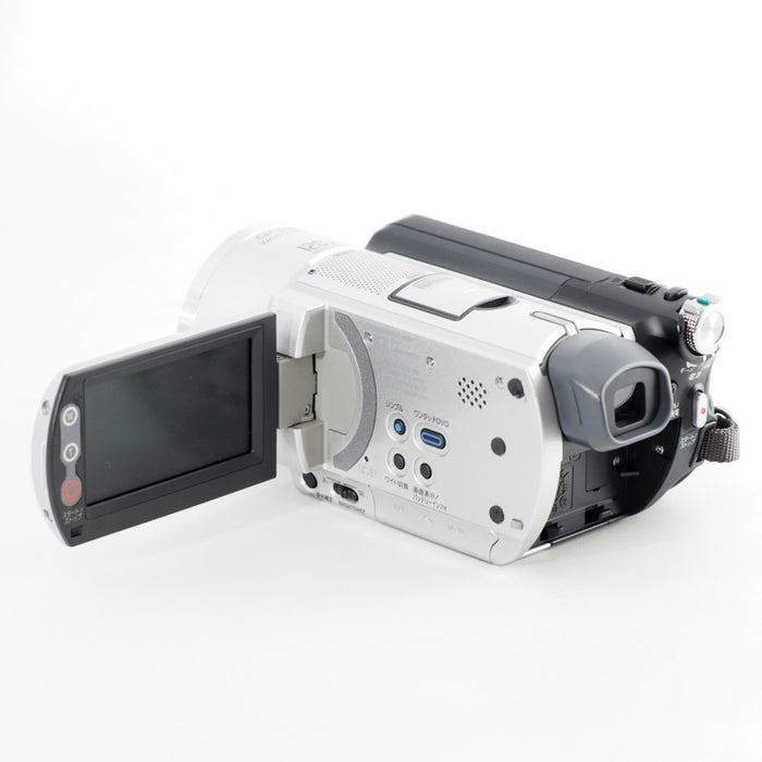 SONY ソニー デジタルビデオカメラ Handycam DCR-SR100 シルバー HDD30GB搭載 #13585