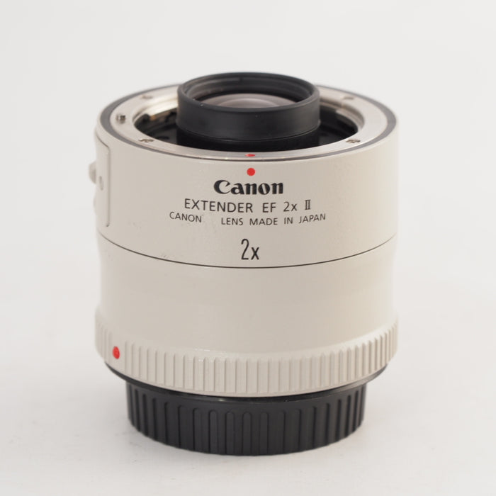 Canon キヤノン エクステンダー EF2X 2型 EF2X2 043 #13500