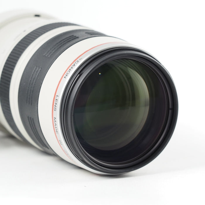 Canon EF 35-350mm F3.5-5.6L USM 高倍率 ズームレンズ キヤノン EFマウント #14309