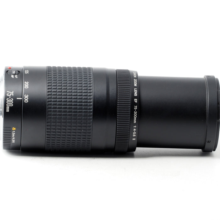 Canon EF 75-300mm F4-5.6 II USM 望遠ズームレンズ EFマウント #15211