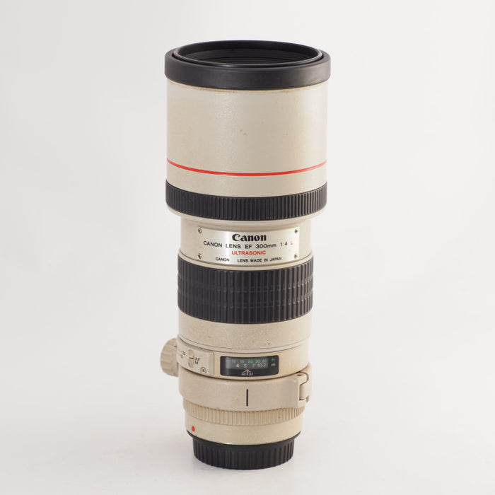 Canon EF 300 mm F4 L USM キヤノン 単焦点望遠レンズ EFマウント 交換レンズ #13518