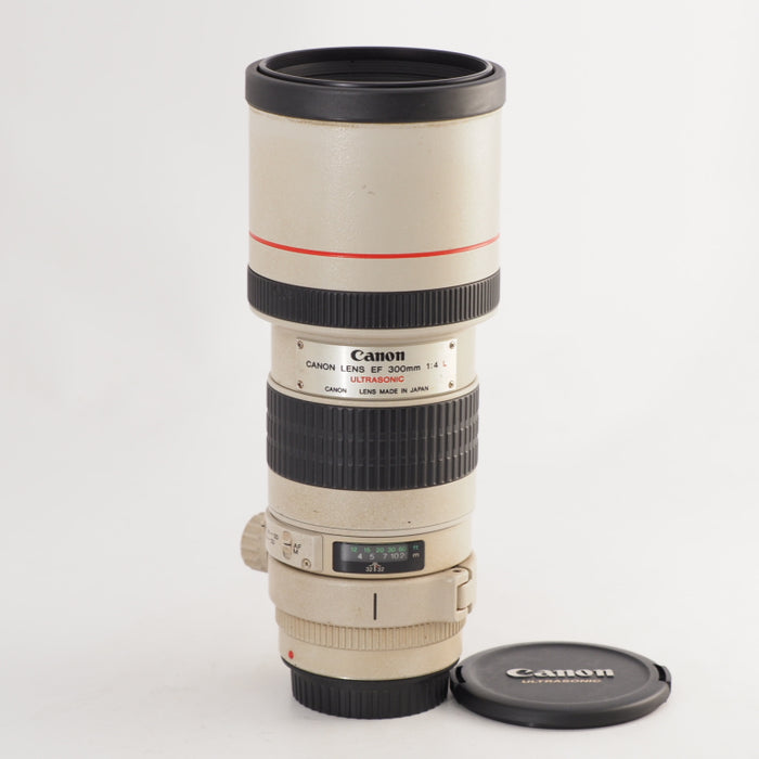 Canon EF 300 mm F4 L USM キヤノン 単焦点望遠レンズ EFマウント 交換レンズ #13518