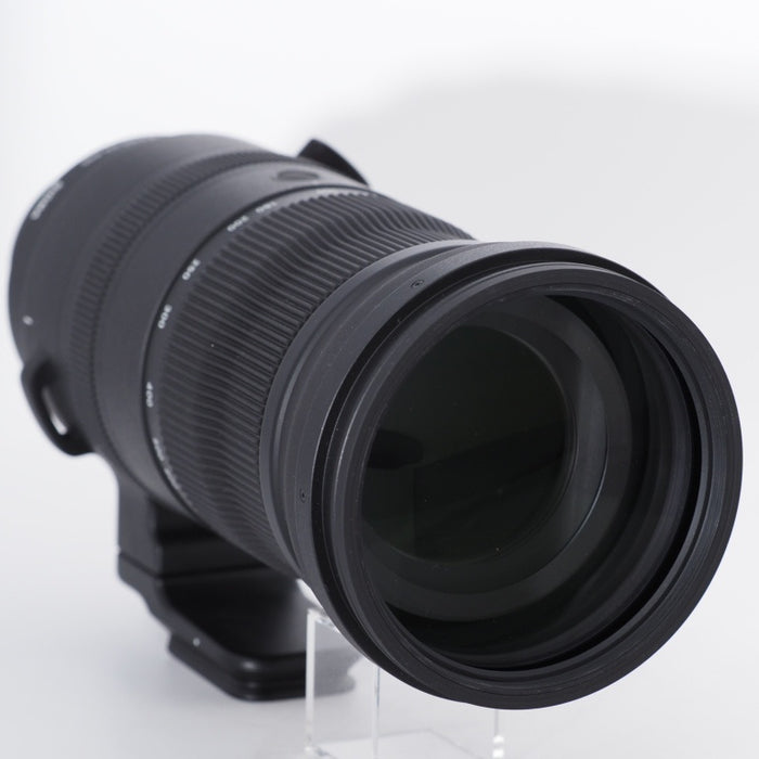 SIGMA シグマ  望遠ズームレンズ 150-600mm F5-6.3 DG DN OS Sports ミラーレス用 SONY Eマウント #11372