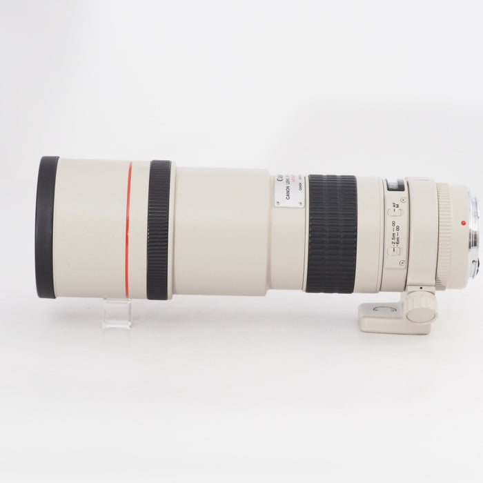Canon EF 300mm F4 L USM キヤノン 単焦点望遠レンズ EFマウント 交換レンズ #13275