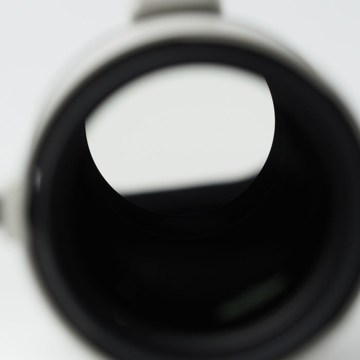 Canon キヤノン 単焦点望遠レンズ EF300mm F2.8L USM (III) 3型 フルサイズ対応 ケース付き #14839