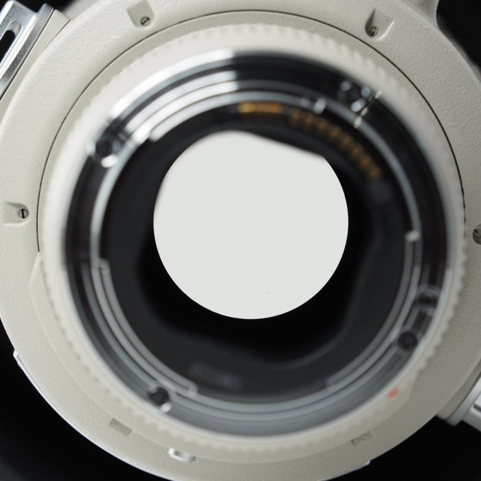 Canon キヤノン 単焦点望遠レンズ EF300mm F2.8L USM (III) 3型 フルサイズ対応 ケース付き #14839