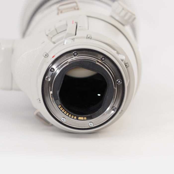 Canon 超望遠ズームレンズ EF200-400mm F4 L IS USM EXTENDER1.4× フルサイズ対応 キヤノン EFマウント #13385