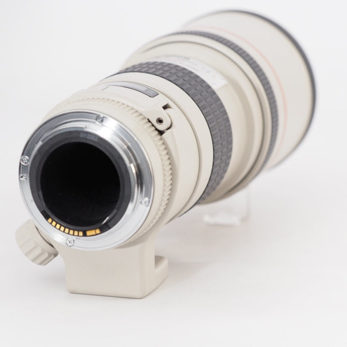 Canon EF 300mm F4 L USM キヤノン 単焦点望遠レンズ EFマウント 交換レンズ #13275