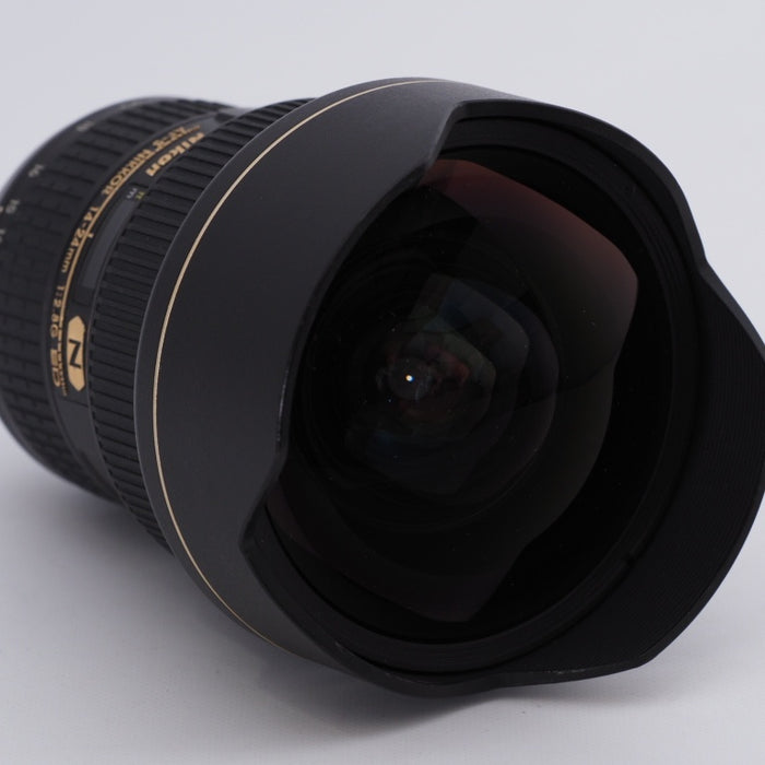 Nikon ニコン 広角ズームレンズ AF-S NIKKOR 14-24mm f2.8G ED フルサイズ対応 #8993